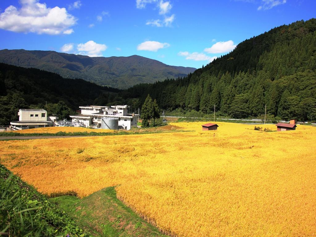 Chouchinya Hotel Nozawaonsen Bagian luar foto